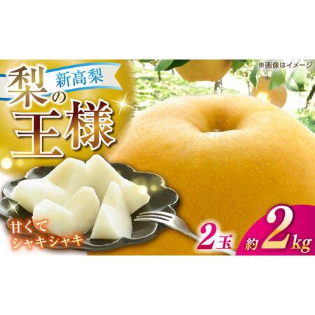 ふるさと納税 [先行予約] 新高梨 秀 約2kg(2玉) [2026年9月20日〜2026年10月末発送] [川渕果樹園][ATHX005] 高知県高知市
