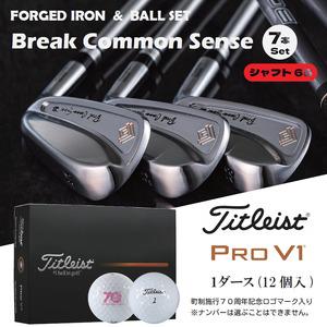 ふるさと納税 [ウルトラ軽量アイアン]Fujimoto_BCS iron(7set) 65 &ゴルフボールV1(1ダース) 1120BE01S./軟鉄鍛造 フォージド アイアン.. 兵庫県市川町