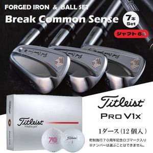 ふるさと納税 [ウルトラ軽量アイアン]Fujimoto_BCS iron(7set) 65 &ゴルフボールV1X(1ダース) 1120BE02S./軟鉄鍛造 フォージド アイア.. 兵庫県市川町