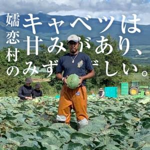 ふるさと納税 ＜文芸評論組織的運動執り行なう中＞【7月中旬今後送りとどける打ちかかる】 【 定期便 】 嬬恋甘藍 嬬恋産 高台甘藍 3玉1入れもの 隔月2回 定.. 群馬県嬬恋村