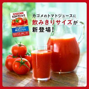 ふるさと納税 【定期便 3ヶ月】カゴメトマトジュース 食塩無添加 100ml 30本 【 トマトジュース 】 長野県富士見町