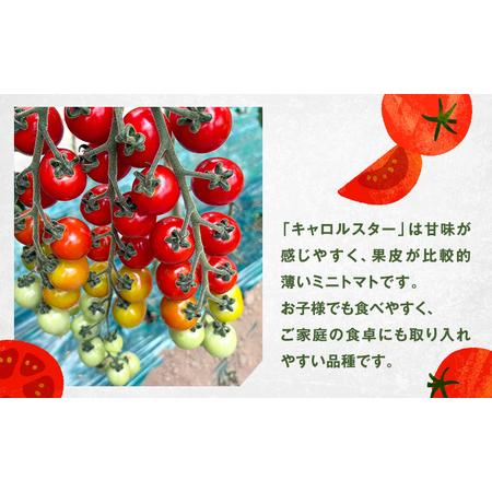 ふるさと納税 [先行受付] 北海道 仁木町産 ミニトマト キャロルスター 800g  （32粒〜50粒）トマト 野菜  国産 プチトマト 甘み 使いやすい サラ.. 北海道仁木町_2