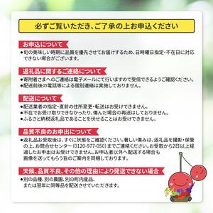 ふるさと納税 [先行受付] 北海道 仁木町産 ミニトマト キャロルスター 800g  （32粒〜50粒）トマト 野菜  国産 プチトマト 甘み 使いやすい サラ.. 北海道仁木町_4