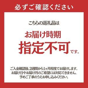 ふるさと納税 無洗米 佐藤家の米 あきたこまち 10kg (5kg×2袋) 秋田県 能代市 令和7年産 お米 米 精米 ブランド米 銘柄米 おにぎり 秋田県能代市_1