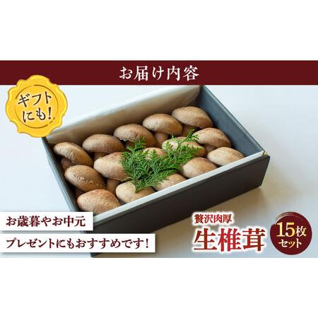 ふるさと納税 生しいたけ 【優品】15枚セット [SBX003] しいたけ 長崎県南島原市_4