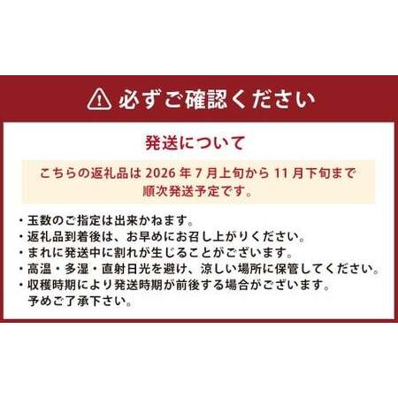 ふるさと納税 お試しサイズ まごころミニトマトの宝石箱 800g (約40〜60玉) サンチェリーピュア 夏秋ミニトマト トマト 野菜 【2026年7月上旬か.. 大分県竹田市_1