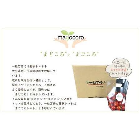 ふるさと納税 お試しサイズ まごころミニトマトの宝石箱 800g (約40〜60玉) サンチェリーピュア 夏秋ミニトマト トマト 野菜 【2026年7月上旬か.. 大分県竹田市_3