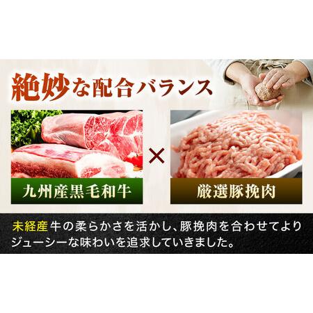 ふるさと納税 【全3回定期便】 唐津バーグ 計4.2kg（140g×10個×3回） / ハンバーグ / 佐賀県 / いきや食品 [41ABAH002] 佐賀県_1