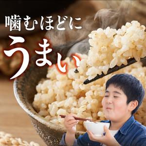 ふるさと納税 【2026年10月より順次発送】福岡県産ブランド米夢つくし 玄米 30kg【令和8年産 新米】 _ 夢つくし 30kg 1回 福岡県産 久留米産 .. 福岡県久留米市の画像