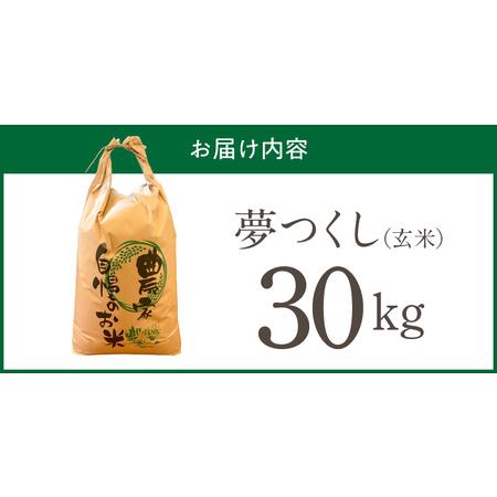 ふるさと納税 【2026年10月より順次発送】福岡県産ブランド米夢つくし 玄米 30kg【令和8年産 新米】 _ 夢つくし 30kg 1回 福岡県産 久留米産 .. 福岡県久留米市の画像