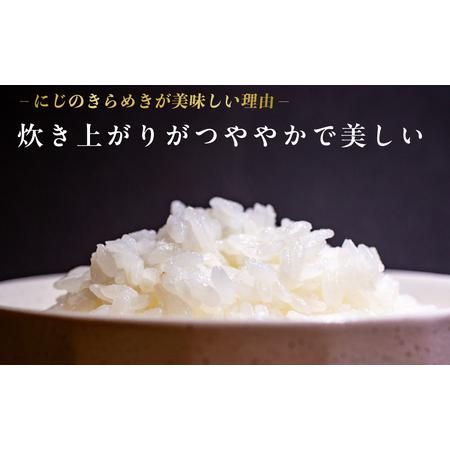 ふるさと納税 米 にじのきらめき 5kg 米 久喜市 埼玉県 埼玉県久喜市