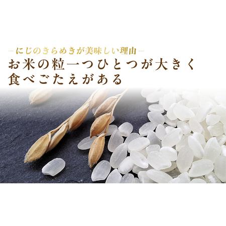 ふるさと納税 米 にじのきらめき 5kg 米 久喜市 埼玉県 埼玉県久喜市