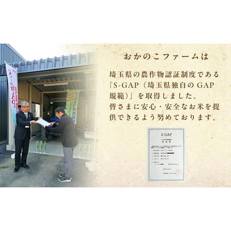 ふるさと納税 米 にじのきらめき 5kg 米 久喜市 埼玉県 埼玉県久喜市