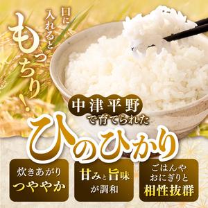 ふるさと納税 【定期便3回】R8年産大分県産米 ヒノヒカリ 白米 5kg | お米 精米 単一米 大分県 中津市 大分県中津市_1