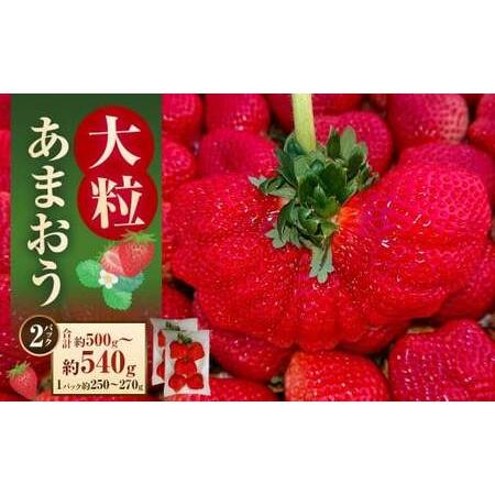 ふるさと納税 大粒あまおう 約250〜270g × 2パック (計500〜540g) [2026年2月上旬〜4月上旬発送予定] あまおう 苺 いちご イチゴ く.. 福岡県太宰府市