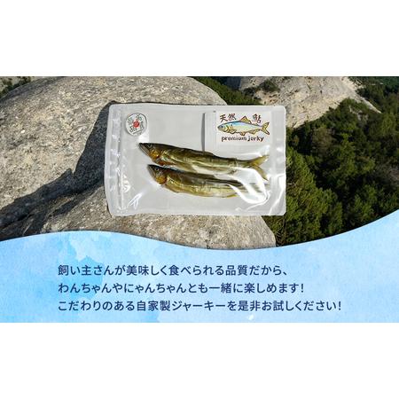 ふるさと納税 ペットフード 自家製 お魚 ジャーキー 詰め合わせ 5袋セット MARUMARUDOGS 金目鯛御頭 真鰯 ワカサギ メジナ 虹鱒 うなぎの頭 鰺 .. 静岡県河津町_4