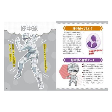 ふるさと納税 【講談社おはなし隊セレクト】はたらく細胞図鑑 全3冊セット 本 図鑑 セット 小学生 こども ギフト 贈答品 文京区 東京都 東京都文京区_2