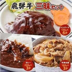 ふるさと納税 [2ヵ月毎定期便]飛騨牛三昧(ハンバーグ・カレー・牛丼の冷凍食品3種セット)全3回[配送不可地域:離島][4079778] 岐阜県笠松町