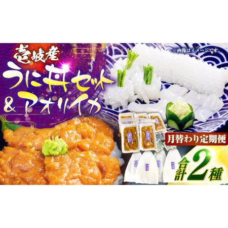 ふるさと納税 [2回定期便] 壱岐産 うに丼セット アオリイカ 月替わり 定期便 [壱岐市] [一支國屋]海鮮 うに うに丼 いか イカ アオリイカ .. 長崎県壱岐市