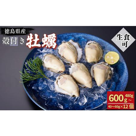 ふるさと納税 牡蠣 12個 計480g〜600g 生食用 殻付きかき 徳島県小松島市