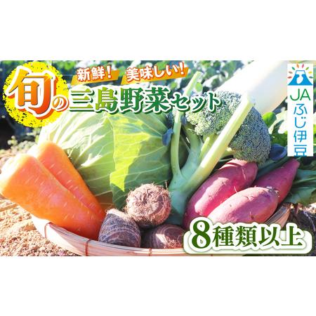 ふるさと納税 [2026年4月発送 春野菜]三島野菜詰め合わせセット 8種類以上 JAふじ伊豆 ファーマーズマーケット みしまるかん お取り寄せ グル.. 静岡県三島市