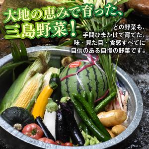 ふるさと納税 【2026年6月発送 夏野菜】三島野菜詰め合わせセット 8種類以上 JAふじ伊豆 ファーマーズマーケット みしまるかん お取り寄せ グル.. 静岡県三島市の画像
