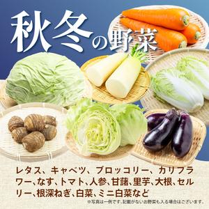 ふるさと納税 【2026年12月発送 秋冬野菜】三島野菜詰め合わせセット 8種類以上 JAふじ伊豆 ファーマーズマーケット みしまるかん お取り寄せ グ.. 静岡県三島市の画像