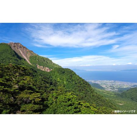ふるさと納税 BE249 山崎本店酒造場 【12回定期便】 雲仙島原の天然水 20L [ 水 天然水 ウォーター おいしい 定期便 定期 1年 名水百選 大容量 .. 長崎県島原市の画像
