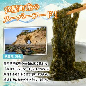 ふるさと納税 ≪定期便・全4回≫福岡県芦屋町産 あかもく(総計14kg・(50g×70食×4回)) 個包装食べきりサイズ アカモク ぎばさ ギバサ .. 福岡県芦屋町の画像