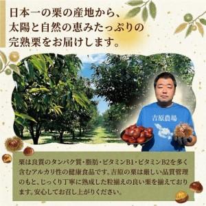 ふるさと納税 栗きんとん 「 栗の深雫 」 プレーン3個 ＆ ラム3個入り 2箱 茨城県筑西市_2