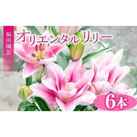 ふるさと納税 ユリ(オリエンタルリリー)6本[ユリ] 高知県安芸市