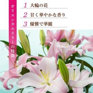 ふるさと納税  小ゆり(オリエンタルリリー)6本 3ヶ月定期便【小ゆり】 高知県安芸市