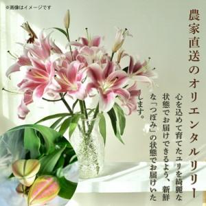 ふるさと納税  小ゆり(オリエンタルリリー)6本 3ヶ月定期便【小ゆり】 高知県安芸市