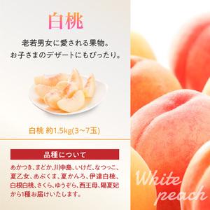 ふるさと納税 《先行受付》白桃と黄桃詰合せ3kg【2026年8月頃より順次発送予定】 060-016 山形県大江町の画像