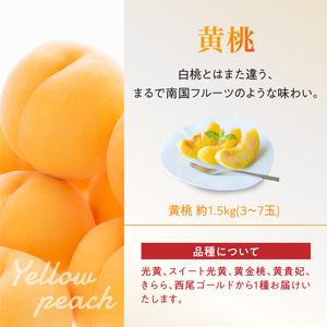 ふるさと納税 《先行受付》白桃と黄桃詰合せ3kg【2026年8月頃より順次発送予定】 060-016 山形県大江町の画像