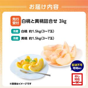 ふるさと納税 《先行受付》白桃と黄桃詰合せ3kg【2026年8月頃より順次発送予定】 060-016 山形県大江町の画像
