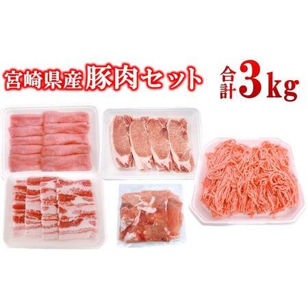 ふるさと納税 宮崎県産豚肉 5種 合計3kgセット スライス とんかつ 焼肉 切り落とし ミンチ 小分け 11パック[1.5-238] 宮崎県西都市
