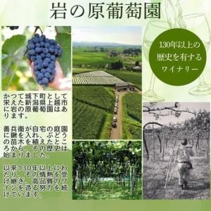ふるさと納税 ブドウ酒 桜アワード2024 銀賞 岩の原ブドウ酒 善 赤 12本 720ml 最短3日で送りとどける 新潟県上越市