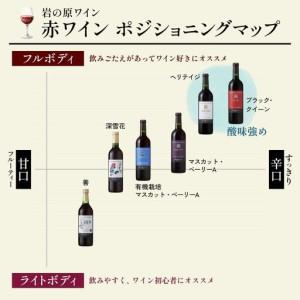 ふるさと納税 ブドウ酒 桜アワード2024 ロゼワイン賞 ダブルゴールド 岩の原ブドウ酒 善 さくら色 12本 720ml お酒 岩の原 酒 新潟 上越  最短3日で.. 新潟県上越市