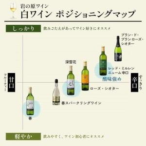 ふるさと納税 ブドウ酒 桜アワード2024 ロゼワイン賞 ダブルゴールド 岩の原ブドウ酒 善 さくら色 12本 720ml お酒 岩の原 酒 新潟 上越  最短3日で.. 新潟県上越市