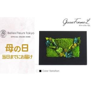 ふるさと納税 【母の日】グリーンフレームL 花 お花 プリザーブドフラワー ギフト プレゼント お祝い 誕生日 お供え アレンジ インテリア 東京都.. 東京都墨田区_1