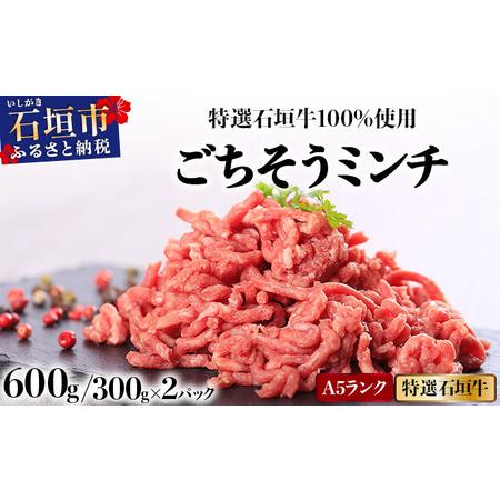 ふるさと納税 A5ランク 特選 石垣牛 100%使用 ごちそうミンチ 300g 2パック 計600g [2026年3月以降順次発送] | 沖縄 石垣 ミンチ 牛 肉 A5ラ.. 沖縄県石垣市
