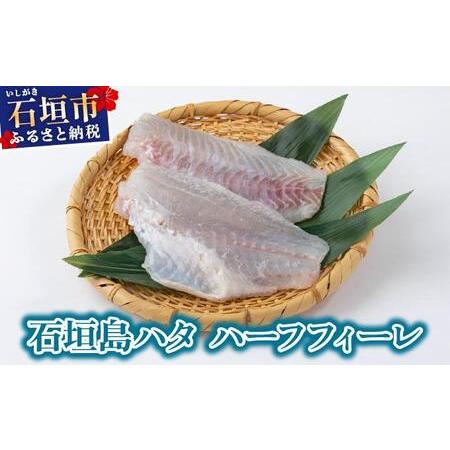 ふるさと納税 石垣島 ハタ ハーフフィーレ | 勝水産 ミーバイ ヤイトハタ 沖縄県石垣市 石垣 沖縄 石垣市 石垣島 KS-15 沖縄県石垣市