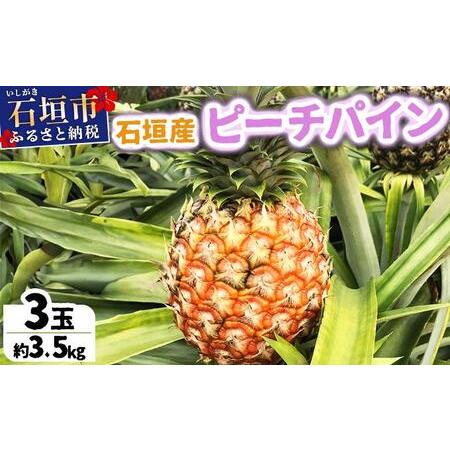 ふるさと納税 [先行予約] 農家直送!石垣島産 ピーチパイン 3個セット 約3kg [2026年3月下旬発送] | パイナップル パイン 沖縄県 石垣市 石.. 沖縄県石垣市