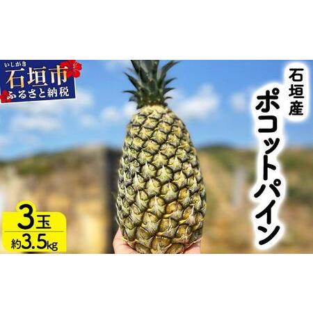 ふるさと納税 [先行予約] 農家直送!石垣島産 ポコットパイン 3個セット 約3.5kg [2026年3月下旬発送] | パイナップル パイン 沖縄県 石垣市.. 沖縄県石垣市