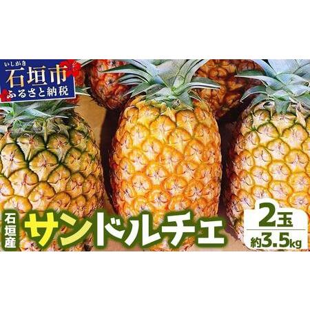ふるさと納税 [先行予約] 農家直送!石垣島産サンドルチェ 2個セット 約3.5kg [2026年4月中旬発送] | パイナップル パイン 沖縄県 石垣市 石.. 沖縄県石垣市