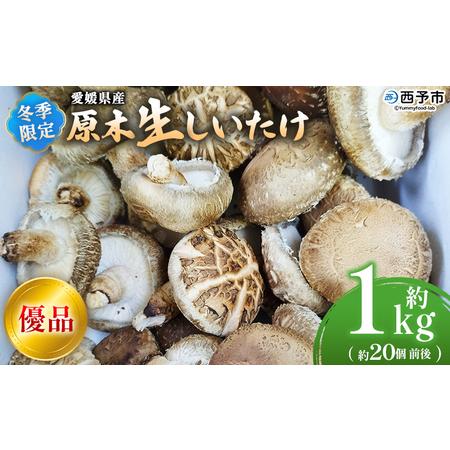 ふるさと納税 [冬季限定 原木生しいたけ 優品 約1kg] 20個前後 原木生椎茸 しいたけ シイタケ きのこ 優品 バーベキュー BBQ すき焼き しゃぶ.. 愛媛県西予市
