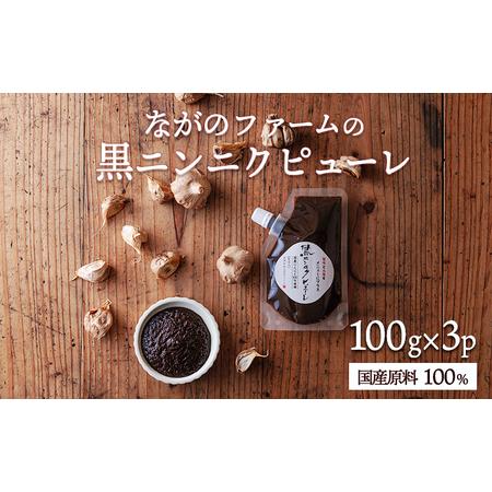 ふるさと納税 毎日の食卓に、簡単・便利・おいしい! 国産黒ニンニクピューレ 100g×3p TF0891-P00032 宮崎県高原町