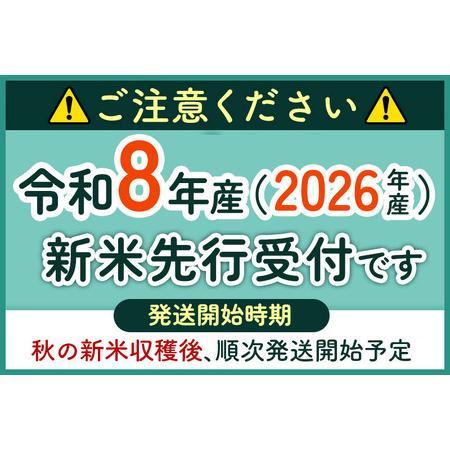 ふるさと納税 《令和8年産 新米受付》《定期便4ヶ月》米どころ 秋田県大仙市産 ブレンド米【無洗米】10kg（5kg×2袋） 秋田県大仙市の画像
