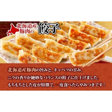 ふるさと納税 【大容量】北海道産豚肉のぎょうざ 120個!冷凍餃子 ギョーザ 国産 焼餃子 点心 滝川市 冷凍食品 北海道滝川市_1